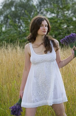 Susann - Lavendel 00