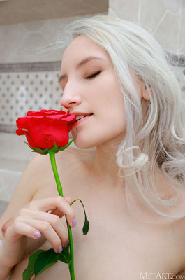 Sofia Sey Drops A Sheer Robe And Showers Her Bare Pussy With A Red Rose - 01