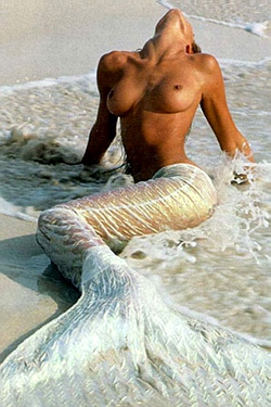 Stephanie Seymour