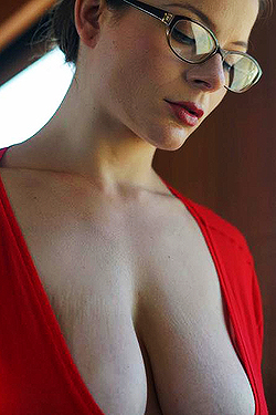 Full Steam Ahead Michels World